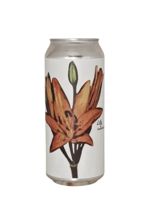 Fidens Lily